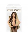 Lingerie sexy penthouse bodystocking forbidden fruit