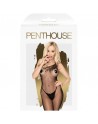 Lingerie sexy penthouse bodystocking fancy dope